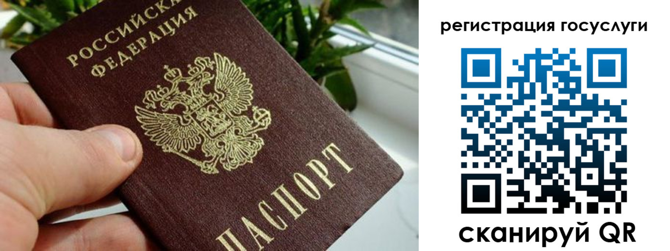 прописка для кредита в Хвалынске